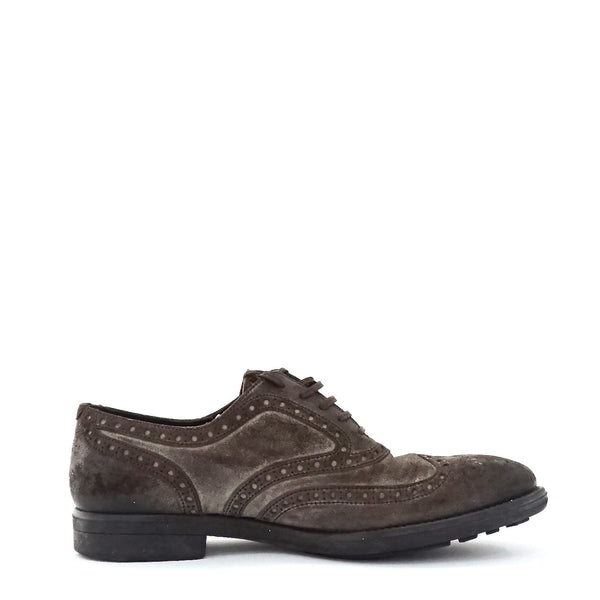 Dolce & Gabbana Wing Tip Broques 8